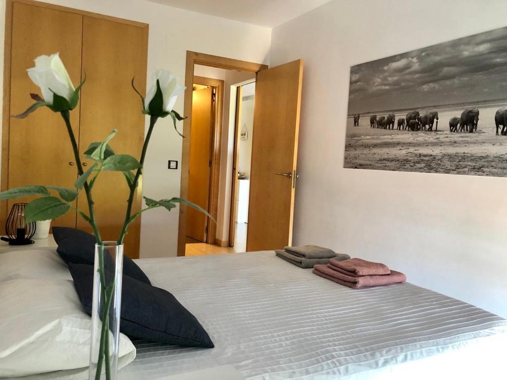 Dream Devesa Girona Apartment Ngoại thất bức ảnh